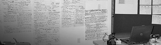 User Research Data