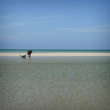 Trip to the Beach