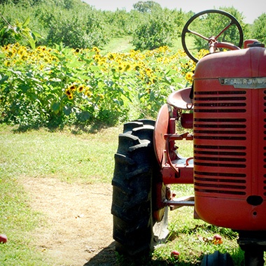 Tractor at Lull Farm