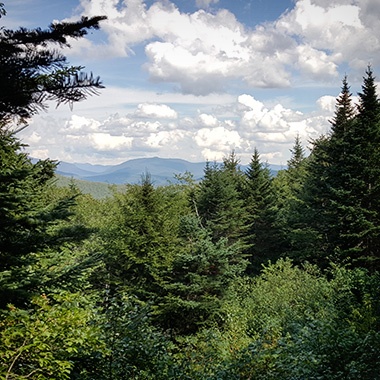 White Mountains